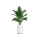 Plant Decor